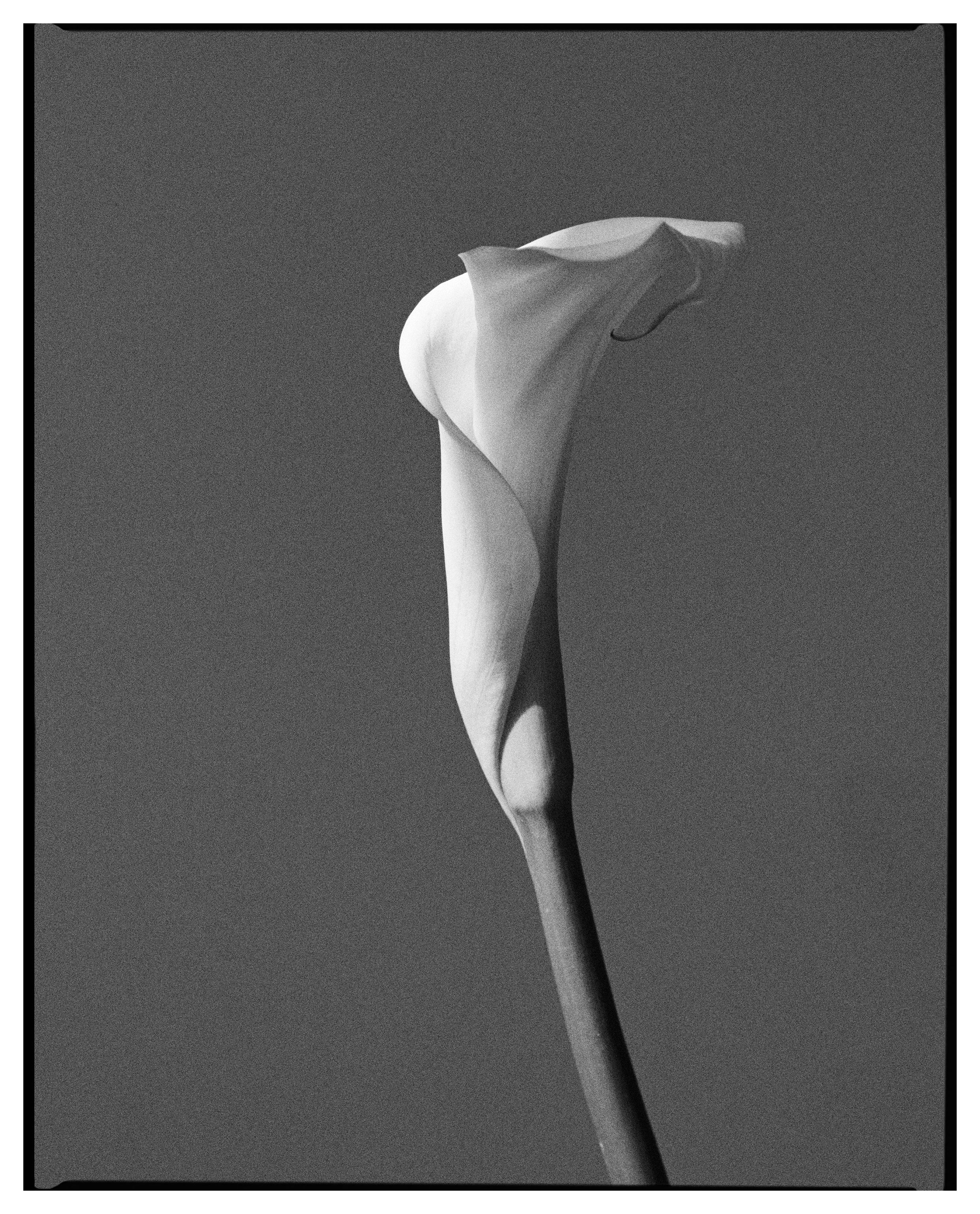 PRINT 02