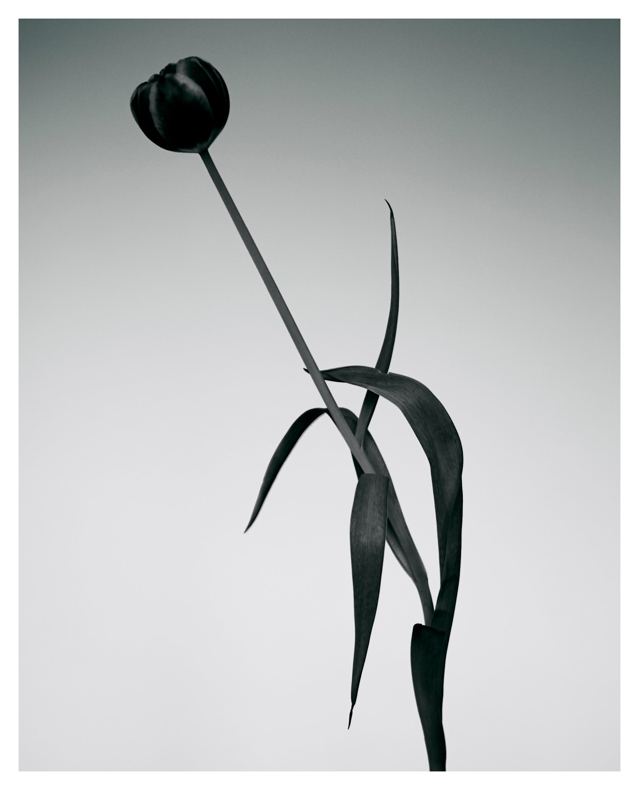 PRINT 11