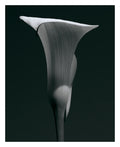 PRINT 04
