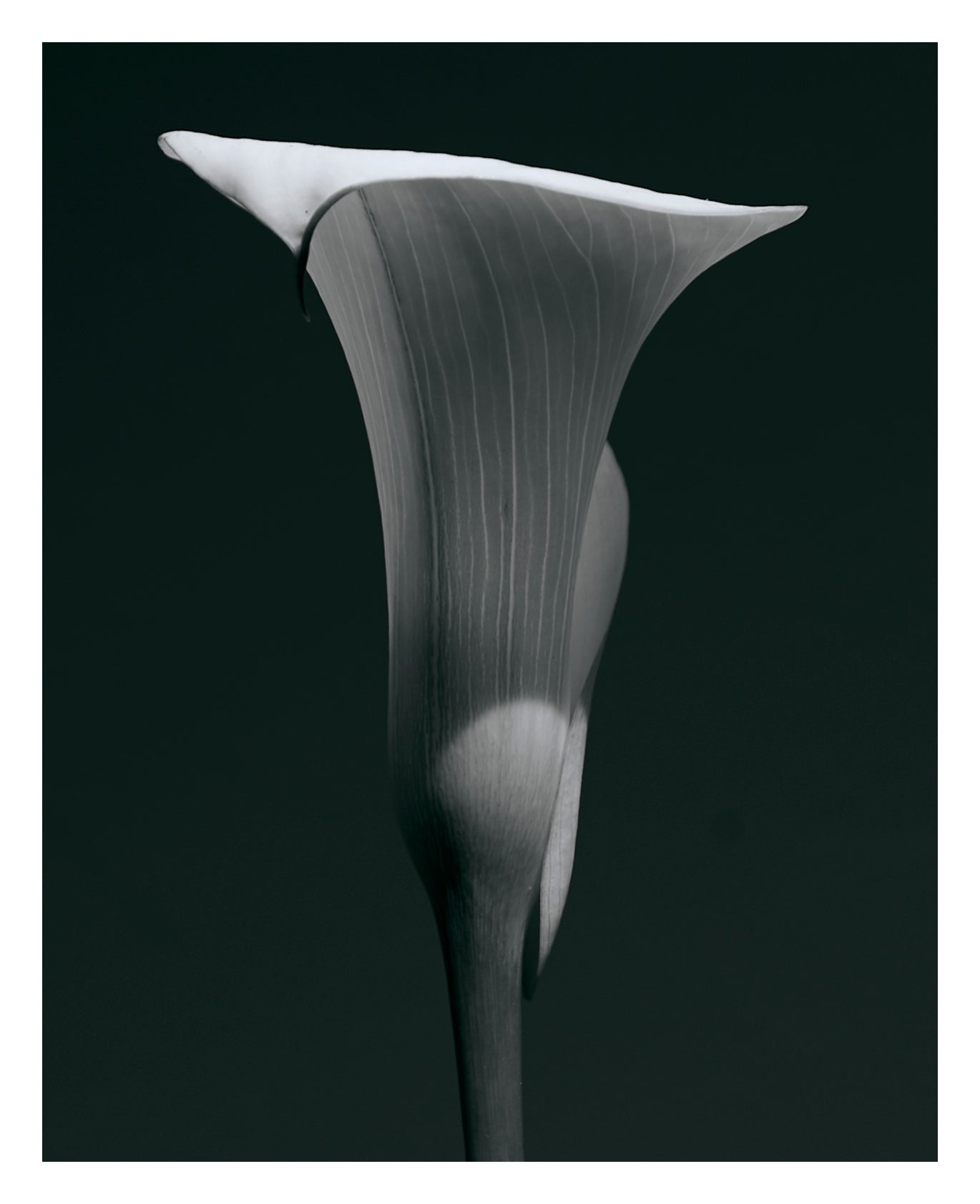 PRINT 04